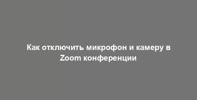 Как отключить микрофон и камеру в Zoom конференции